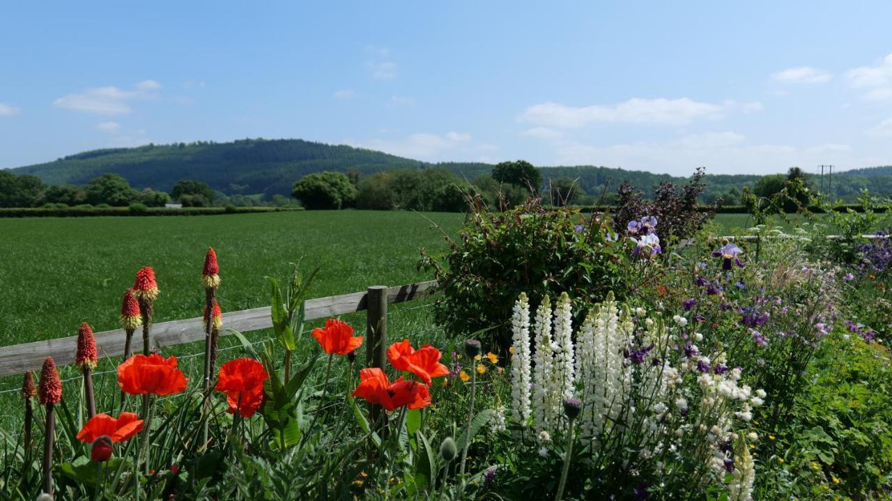 Country Cottage With Far Reaching Views Presteigne Dış mekan fotoğraf